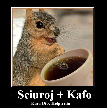 squirrel-and-coffee